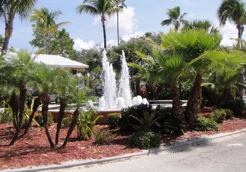 Exploring the Specialized News Agencies in Cape Coral, FL